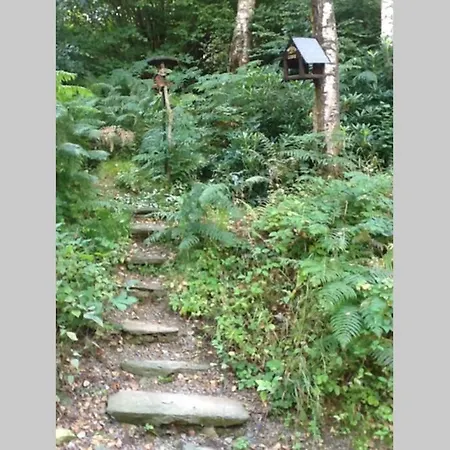 Mistletoe One Luxury With Hot Tub